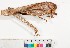  ( - INV00131)  @11 [ ] CreativeCommons - Attribution (2016) EnvMetaGen Research Center in Biodiversity and Genetic Resources