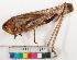 ( - INV00134)  @11 [ ] CreativeCommons - Attribution (2016) EnvMetaGen Research Center in Biodiversity and Genetic Resources