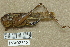  ( - INV02518)  @11 [ ] CreativeCommons - Attribution (2016) EnvMetaGen Research Center in Biodiversity and Genetic Resources