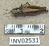  ( - INV02531)  @11 [ ] CreativeCommons - Attribution (2016) EnvMetaGen Research Center in Biodiversity and Genetic Resources