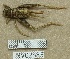  ( - INV02585)  @11 [ ] CreativeCommons - Attribution (2016) EnvMetaGen Research Center in Biodiversity and Genetic Resources