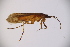  ( - INV01281)  @11 [ ] CreativeCommons  Attribution (2017) Luis Martin Universidad de Santiago de Compostela