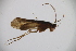  ( - INV03655)  @11 [ ] CreativeCommons - Attribution (2017) Luís Martín Universidad de Santiago de Compostela