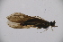  ( - INV03903)  @11 [ ] CreativeCommons - Attribution (2017) Luis Martin Universidad de Santiago de Compostela