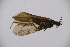  ( - INV03906)  @11 [ ] CreativeCommons - Attribution (2017) Luis Martin Universidad de Santiago de Compostela