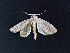  ( - AOCLep02606)  @11 [ ] Copyright (2022) A.S. Ortiz Unspecified
