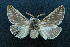  ( - AOCLep02619)  @11 [ ] Copyright (2022) A.S. Ortiz Unspecified