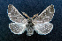  ( - AOCLep02620)  @11 [ ] Copyright (2022) A.S. Ortiz Unspecified