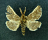  ( - AOCLep02638)  @11 [ ] Copyright (2022) A.S. Ortiz Unspecified