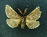  ( - AOCLep02639)  @11 [ ] Copyright (2022) A.S. Ortiz Unspecified