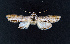  ( - AOCLep02652)  @11 [ ] Copyright (2022) A.S. Ortiz Unspecified