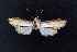  ( - AOCLep02656)  @11 [ ] Copyright (2022) A.S. Ortiz Unspecified