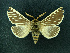  ( - AOCLep02657)  @11 [ ] Copyright (2022) A.S. Ortiz Unspecified