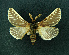  ( - AOCLep02659)  @11 [ ] Copyright (2022) A.S. Ortiz Unspecified