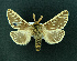  ( - AOCLep02660)  @11 [ ] Copyright (2022) A.S. Ortiz Unspecified