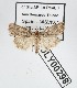  ( - AOCLep02671)  @11 [ ] Copyright (2022) A.S. Ortiz Unspecified