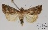  ( - AOCLep02689)  @11 [ ] Copyright (2022) A.S. Ortiz Unspecified