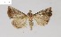  ( - AOCLep02691)  @11 [ ] Copyright (2022) A.S. Ortiz Unspecified
