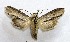  ( - AOCLep02726)  @11 [ ] Copyright (2022) A.S. Ortiz Unspecified