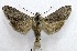  ( - AOCLep02727)  @11 [ ] Copyright (2022) A.S. Ortiz Unspecified