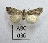  ( - AOCLep02867)  @11 [ ] Copyright (2023) A.S. Ortiz Unspecified