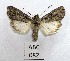  ( - AOCLep02873)  @11 [ ] Copyright (2023) A.S. Ortiz Unspecified