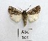  ( - AOCLep02878)  @11 [ ] Copyright (2023) A.S. Ortiz Unspecified
