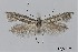  ( - AOCLep02885)  @11 [ ] Copyright (2023) A.S. Ortiz Unspecified