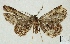  ( - AOCLep02895)  @11 [ ] Copyright (2023) A.S. Ortiz Unspecified