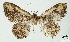  ( - AOCLep02896)  @11 [ ] Copyright (2023) A.S. Ortiz Unspecified