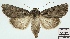  ( - AOCLep02914)  @11 [ ] Copyright (2023) A.S. Ortiz Unspecified