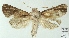  ( - AOCLep02919)  @11 [ ] Copyright (2023) A.S. Ortiz Unspecified