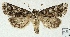  ( - AOCLep02921)  @11 [ ] Copyright (2023) A.S. Ortiz Unspecified