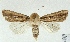  ( - AOCLep02922)  @11 [ ] Copyright (2023) A.S. Ortiz Unspecified