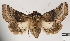  ( - AOCLep02928)  @11 [ ] Copyright (2023) A.S. Ortiz Unspecified