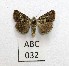  ( - AOCLep02947)  @11 [ ] Copyright (2023) A.S. Ortiz Unspecified