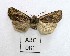  ( - AOCLep02963)  @11 [ ] Copyright (2023) A.S. Ortiz Unspecified