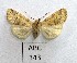  ( - AOCLep02981)  @11 [ ] Copyright (2023) A.S. Ortiz Unspecified