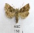  ( - AOCLep02984)  @11 [ ] Copyright (2023) A.S. Ortiz Unspecified