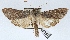  ( - AOCLep02991)  @11 [ ] Copyright (2023) A.S. Ortiz Unspecified