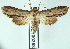  ( - AOCLep02992)  @11 [ ] Copyright (2023) A.S. Ortiz Unspecified