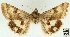  ( - AOCLep02997)  @11 [ ] Copyright (2023) A.S. Ortiz Unspecified