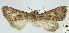  ( - AOCLep03000)  @11 [ ] Copyright (2023) A.S. Ortiz Unspecified