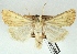  ( - AOCLep03007)  @11 [ ] Copyright (2023) A.S. Ortiz Unspecified