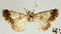  ( - AOCLep03008)  @11 [ ] Copyright (2023) A.S. Ortiz Unspecified