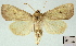  ( - AOCLep03010)  @11 [ ] Copyright (2023) A.S. Ortiz Unspecified