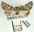  ( - AOCLep03015)  @11 [ ] Copyright (2023) A.S. Ortiz Unspecified