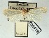  ( - AOCLep03022)  @11 [ ] Copyright (2023) A.S. Ortiz Unspecified
