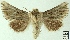  ( - AOCLep03030)  @11 [ ] Copyright (2023) A.S. Ortiz Unspecified