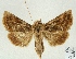  ( - AOCLep03031)  @11 [ ] Copyright (2023) A.S. Ortiz Unspecified